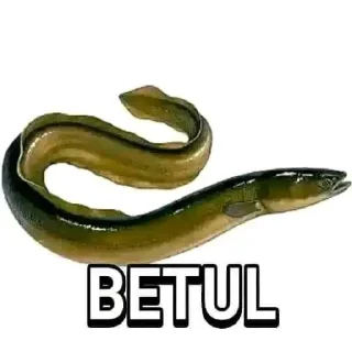 Sticker from 𝕯𝖎𝖓𝖔 pack 3