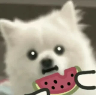 😋 emoji Doggie cutes by @ania_ww Telegram sticker 13 of 24