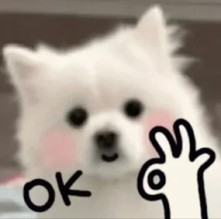 👌 emoji doggie Telegram sticker 9 of 26