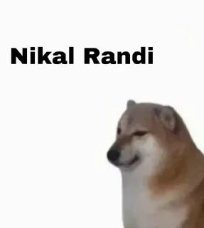 🤨 emoji Doggie By @RahulCv2006 Telegram sticker 19 of 106