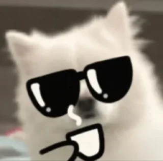 😎 emoji doggie Telegram sticker 6 of 26