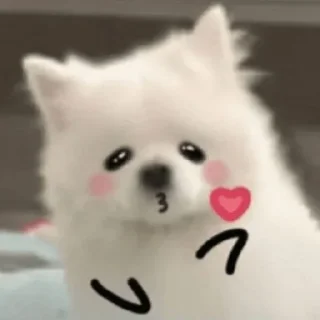 😘 emoji doggie Telegram sticker 18 of 26