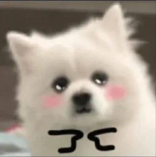 🥹 emoji doggie Telegram sticker 24 of 26