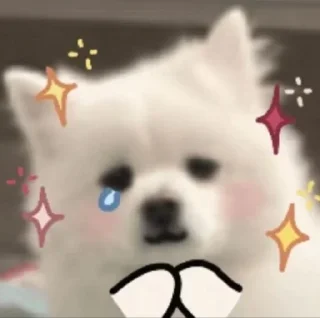 😿 emoji doggie Telegram sticker 15 of 26