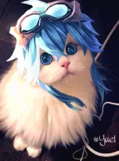 Sticker from Kucing AOV