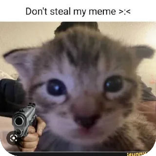 🐱 emoji Memes Telegram sticker 14 of 24