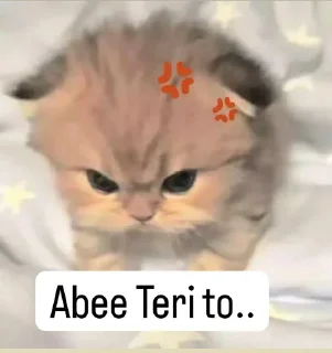 🙂 emoji Nahi pata 🌟 Telegram sticker 1 of 38