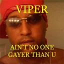 Sticker from viper