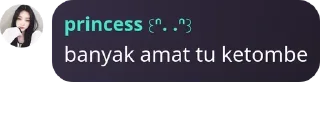 Sticker from punya inces