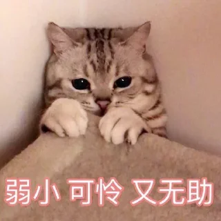 Sticker from 梦某人专用