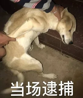 Sticker from 梦某人专用