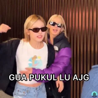 Sticker from nie meme