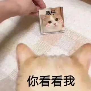 😆 emoji 种花兔专用 Telegram sticker 15 of 120