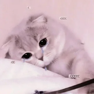😿 emoji fav Telegram sticker 21 of 27