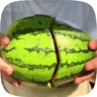 Sticker from Schrod's video pack 4