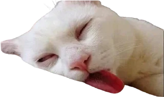 🤔 emoji @Iluxiv's kang pack Vol.1 Telegram sticker 13 of 60