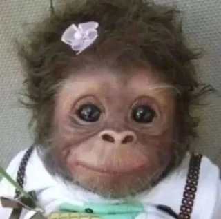🌟 emoji dipak’s monkeys Telegram sticker 14 of 91