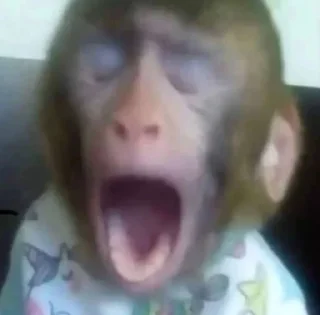 Sticker from dipak’s monkeys