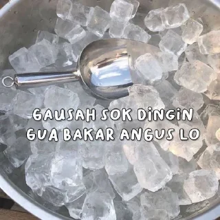 Sticker from sari boti