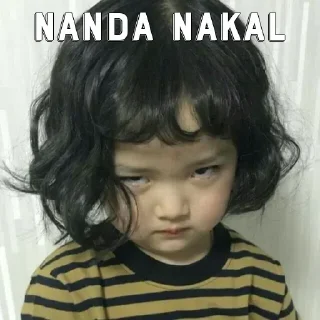 Sticker from Nanda anjing
