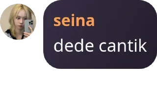 🧑‍⚕️ emoji Seina Cantik Telegram sticker 3 of 5