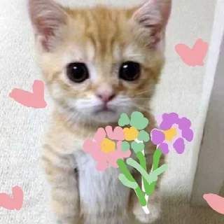 Sticker from ola giep jaemin💋