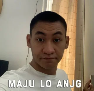 🖕 emoji @nousernametag's Kang Pack Vol.2 Telegram sticker 6 of 11