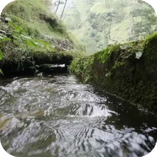 🏞 emoji ❥➻۝𓂀▄︻デS̷t̷u̷b̷b̷o̷r̷n̷ ̷g̷i̷r̷l̷══━一𓂀۝➻❥'sVidPack Telegram sticker 14 of 100