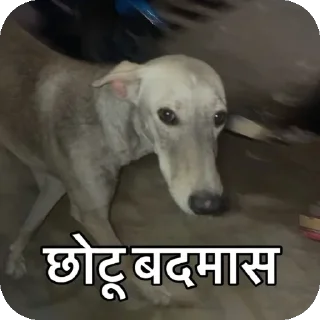 🖼 emoji मस्ती v0.1 Telegram sticker 21 of 73
