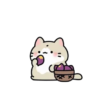 🤍 emoji ㅤㅤ         @stikie   및   @paaci Telegram sticker 16 of 24