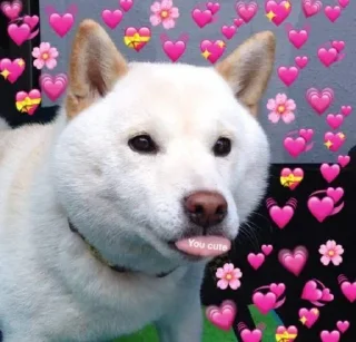 ❤️ emoji @deepuMishra28 Telegram sticker 19 of 120