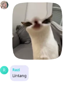 👩‍🍳 emoji Gang Clown's pack by @QuotLyBot Telegram sticker 7 of 120
