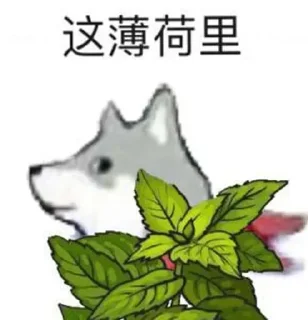 👌 emoji Mr.Quin Telegram sticker 17 of 70