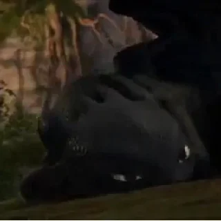 Sticker from Toothless