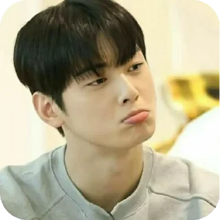Sticker from Cha Eunwoo