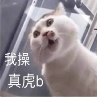 🐱 emoji 汉堡蛙 🍔 @HRfrog Telegram sticker 17 of 107