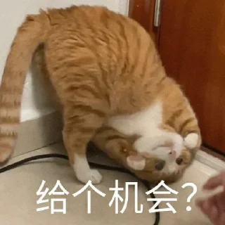 🐱 emoji 汉堡蛙 🍔 @HRfrog Telegram sticker 11 of 107