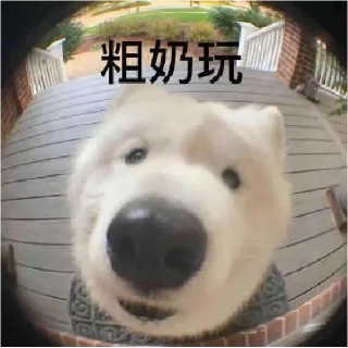 🐶 emoji 汉堡蛙 🍔 @HRfrog Telegram sticker 1 of 107