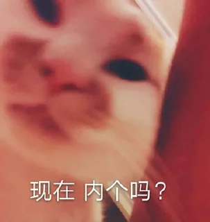 🐱 emoji 汉堡蛙 🍔 @HRfrog Telegram sticker 18 of 107