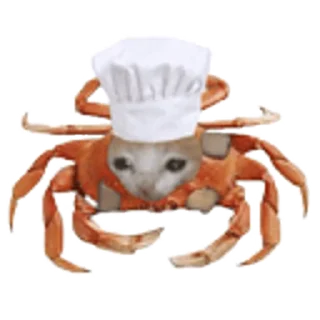 🦀 emoji Soul video pack Telegram sticker 14 of 20