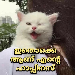 😉 emoji Poocha sir Telegram sticker 21 of 26