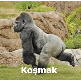 😀 emoji goril Telegram sticker 19 of 30