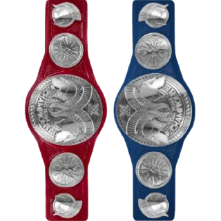 ⭐ emoji WWE Titles Telegram sticker 11 of 24