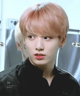 🐹 emoji jungkook Telegram sticker 13 of 20