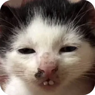 🫥 emoji ah ah ah Telegram sticker 23 of 44