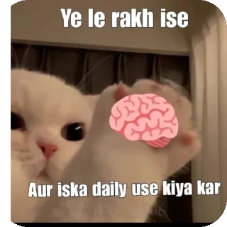 Sticker from Idiot cat 😁