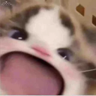 😃 emoji 挖金社区小贴纸 @wajinshequ Telegram sticker 1 of 31