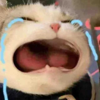 😂 emoji 挖金社区小贴纸 @wajinshequ Telegram sticker 8 of 31