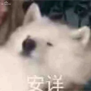 😞 emoji 挖金社区小贴纸 @wajinshequ Telegram sticker 5 of 31
