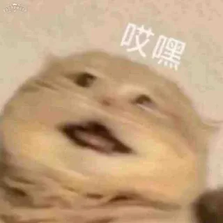 😒 emoji 挖金社区小贴纸 @wajinshequ Telegram sticker 9 of 31
